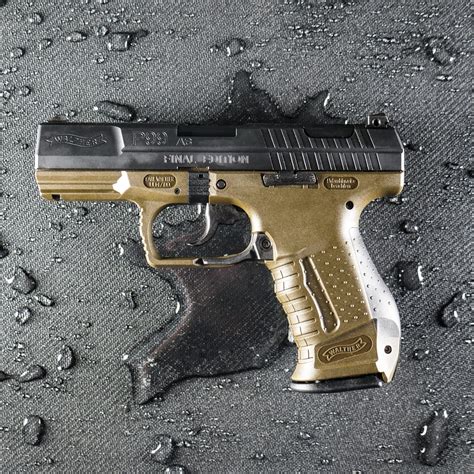 Pp99 .